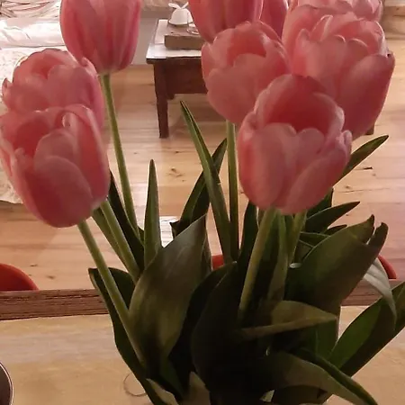 Dell'osteria Oda ve Kahvaltı