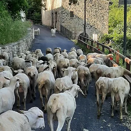 Dell'osteria Oda ve Kahvaltı 3*