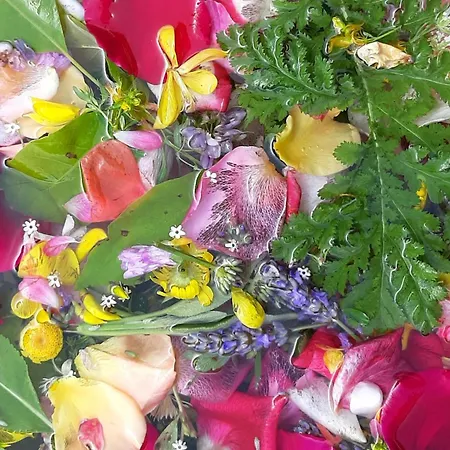 Oda ve Kahvaltı Dell'osteria 3*