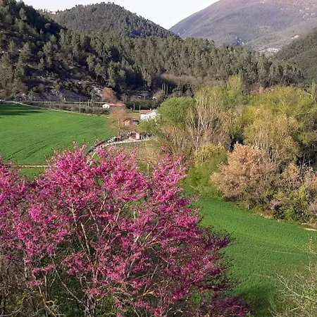 Oda ve Kahvaltı Dell'osteria