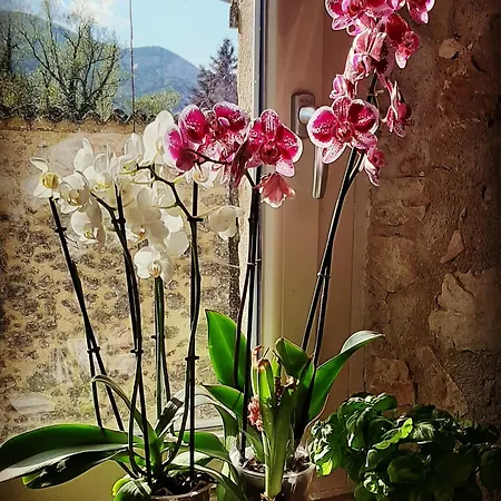 Dell'osteria 3* SantʼAnatolia di Narco