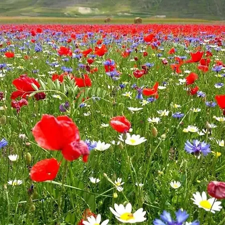 Dell'osteria Oda ve Kahvaltı