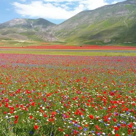 Bed & Breakfast Dell'osteria 3*