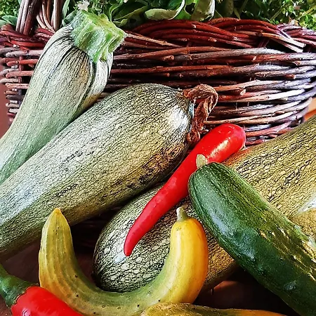 Dell'osteria SantʼAnatolia di Narco