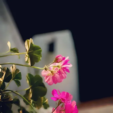 Dell'osteria SantʼAnatolia di Narco