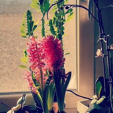 Bed & Breakfast Dell'osteria SantʼAnatolia di Narco