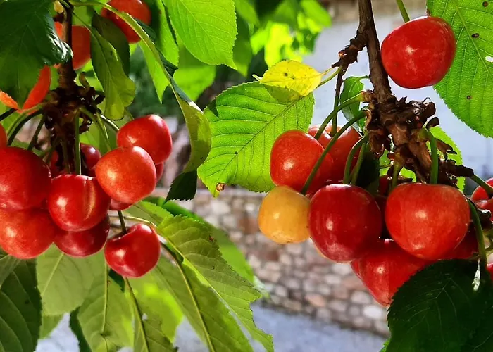 Bed & Breakfast Dell'osteria