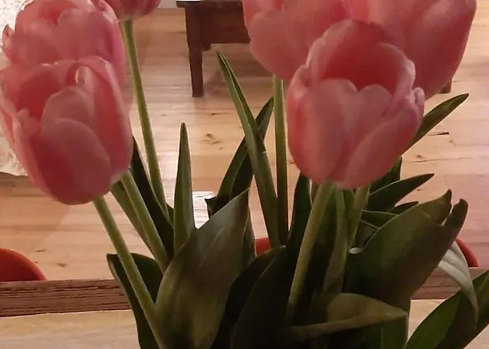 Dell'osteria Alojamento de Acomodação e Pequeno-almoço