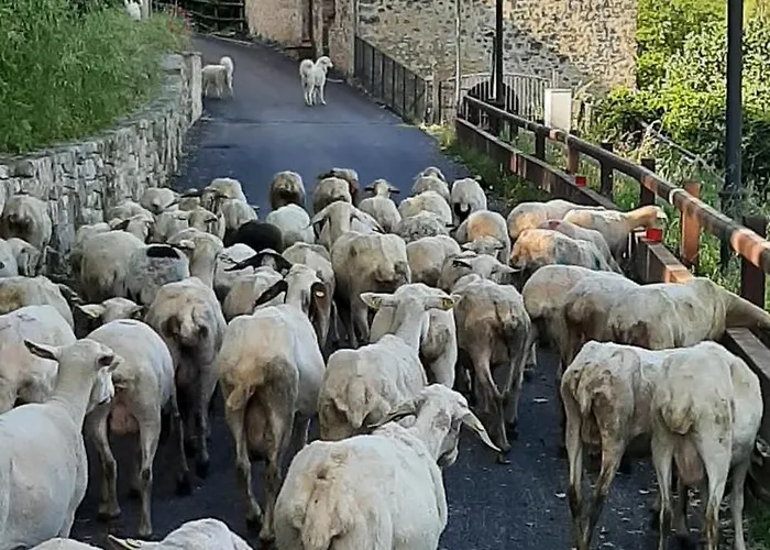 Dell'osteria Alojamento de Acomodação e Pequeno-almoço 3*