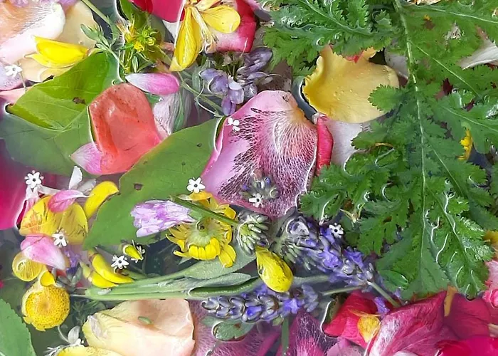 Bed & Breakfast Dell'osteria 3*