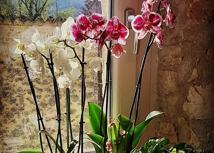 Dell'osteria 3* SantʼAnatolia di Narco