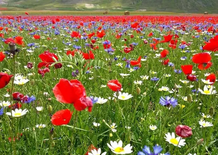 Dell'osteria Bed & Breakfast