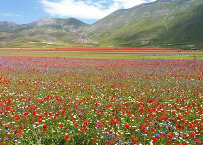 Alojamento de Acomodação e Pequeno-almoço Dell'osteria 3*