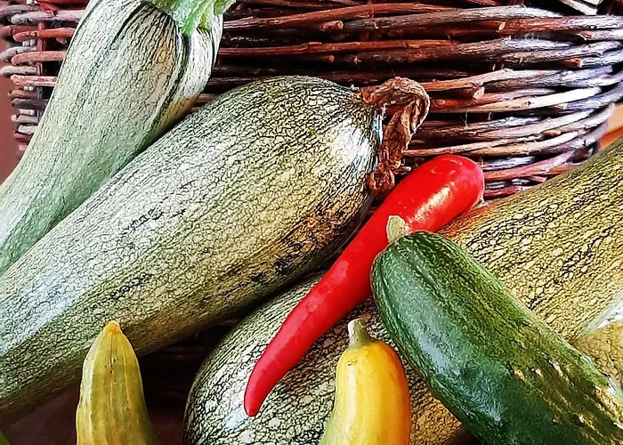 Dell'osteria Sant'Anatolia di Narco