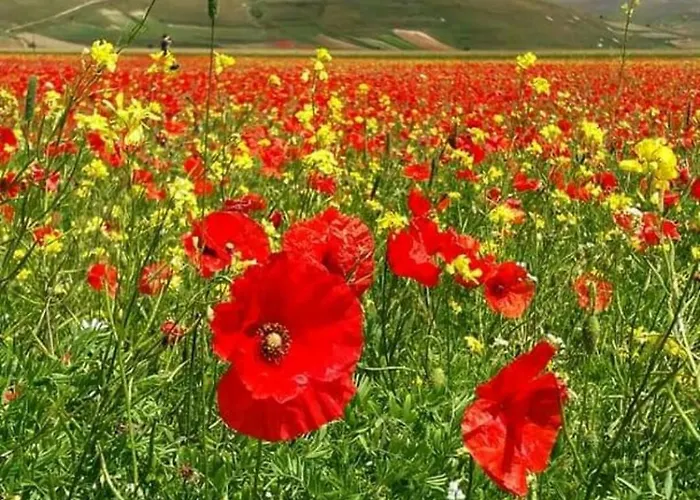 Dell'osteria 3* Sant'Anatolia di Narco