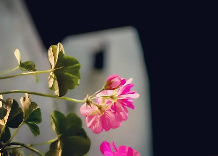 Dell'osteria SantʼAnatolia di Narco