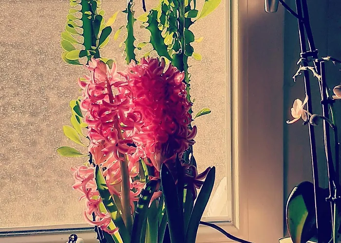 Bed & Breakfast Dell'osteria Sant'Anatolia di Narco